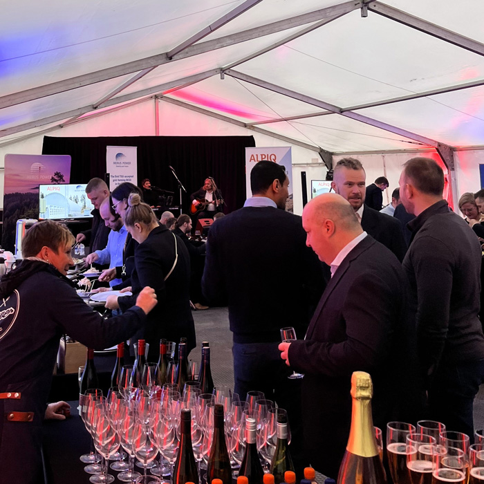 Duo esiintyjänä yritysjuhlissa.