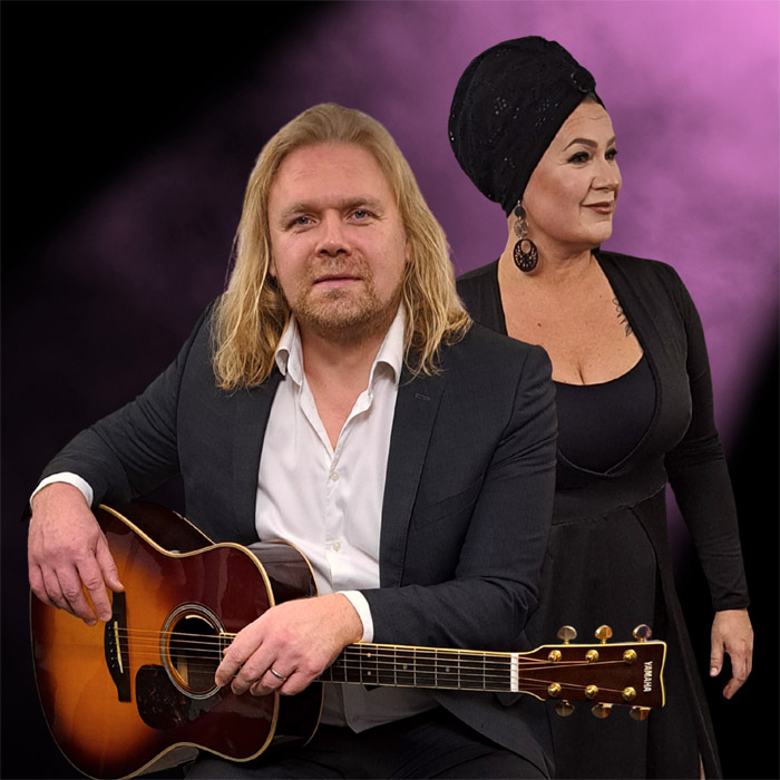 Livemusiikkia yritystilaisuuteen.